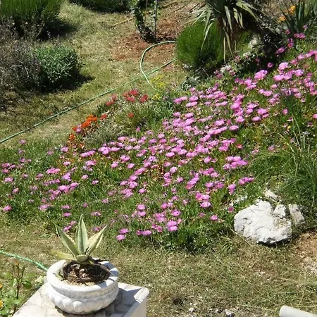 Apartment In With Sea View, Terrace, Air Conditioning, Wifi Zavala