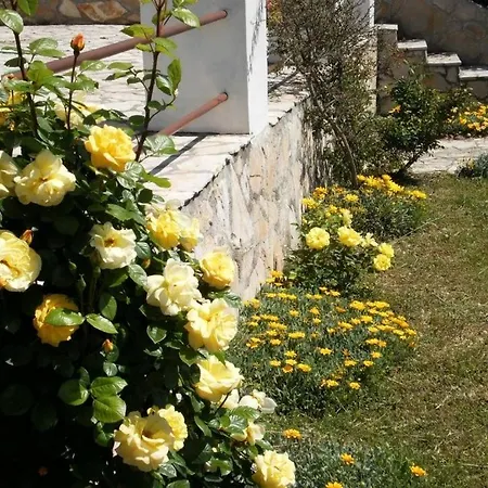 In With Sea View, Terrace, Air Conditioning, Wifi Apartment