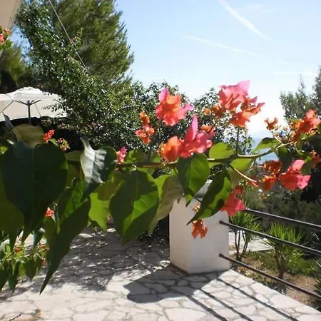 In With Sea View, Terrace, Air Conditioning, Wifi Apartment Zavala